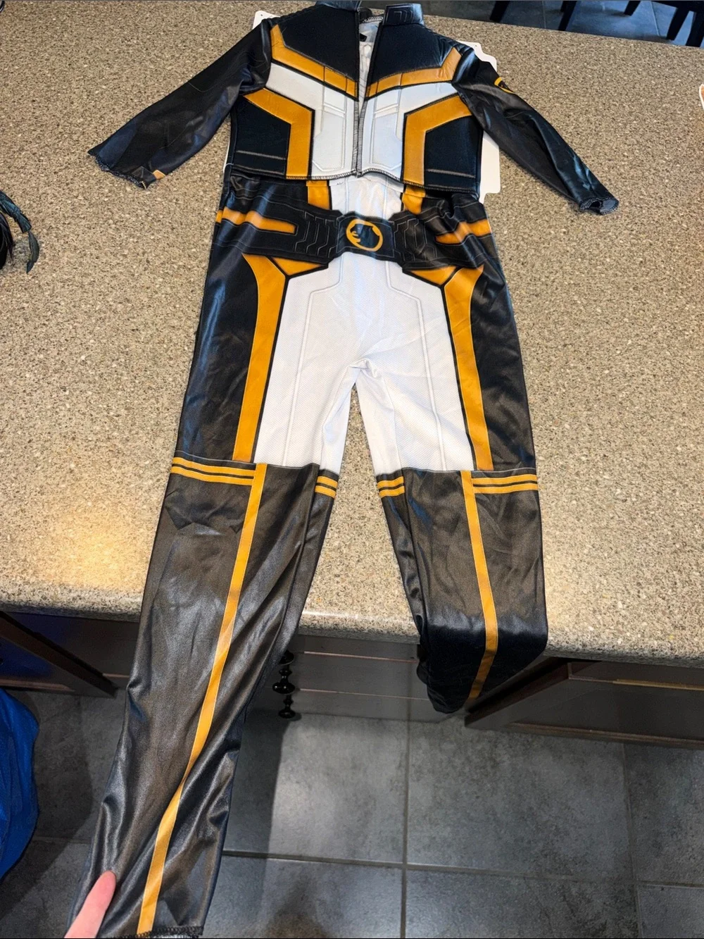 Hawkgirl Superman halloween costume